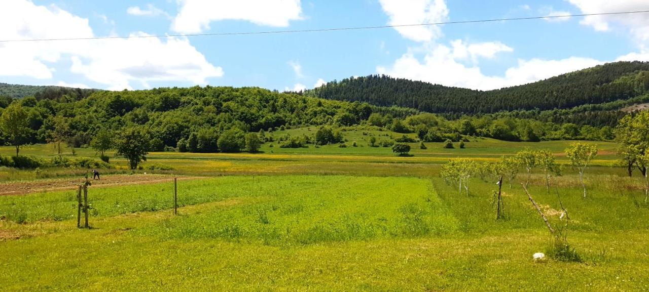 Apartmani Fenestra Tesla I Faust Otočac Exterior foto